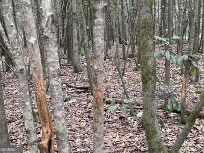 114.62+- Acres / *IRRIGATED *INCOME PRODUCING *LEE COUNTY, GA - image 42