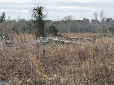 114.62+- Acres / *IRRIGATED *INCOME PRODUCING *LEE COUNTY, GA - image 25