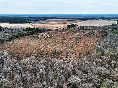 114.62+- Acres / *IRRIGATED *INCOME PRODUCING *LEE COUNTY, GA - image 3