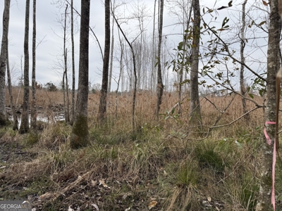 114.62+- Acres / *IRRIGATED *INCOME PRODUCING *LEE COUNTY, GA - image 18
