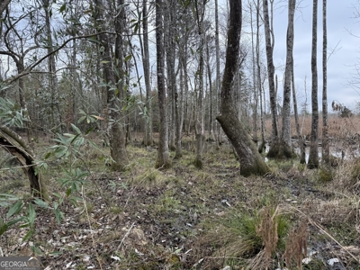 114.62+- Acres / *IRRIGATED *INCOME PRODUCING *LEE COUNTY, GA - image 16