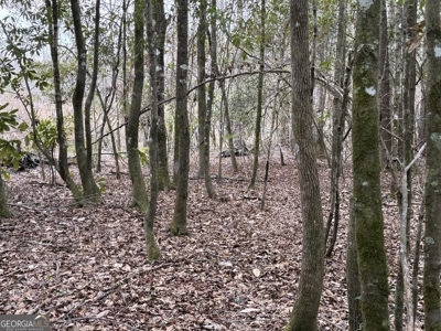 114.62+- Acres / *IRRIGATED *INCOME PRODUCING *LEE COUNTY, GA - image 43