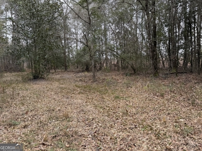 114.62+- Acres / *IRRIGATED *INCOME PRODUCING *LEE COUNTY, GA - image 39