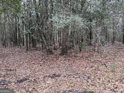 114.62+- Acres / *IRRIGATED *INCOME PRODUCING *LEE COUNTY, GA - image 34