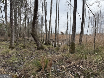 114.62+- Acres / *IRRIGATED *INCOME PRODUCING *LEE COUNTY, GA - image 15