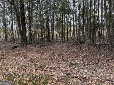 114.62+- Acres / *IRRIGATED *INCOME PRODUCING *LEE COUNTY, GA - image 37