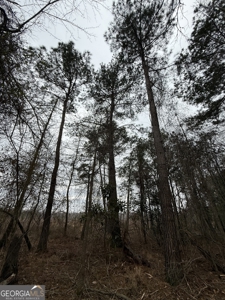 114.62+- Acres / *IRRIGATED *INCOME PRODUCING *LEE COUNTY, GA - image 31