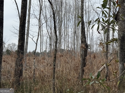 114.62+- Acres / *IRRIGATED *INCOME PRODUCING *LEE COUNTY, GA - image 19