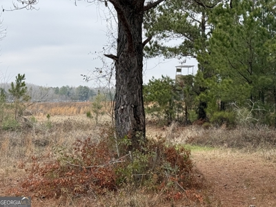 114.62+- Acres / *IRRIGATED *INCOME PRODUCING *LEE COUNTY, GA - image 27
