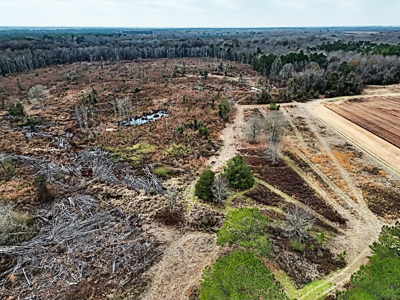 114.62+- Acres / *IRRIGATED *INCOME PRODUCING *LEE COUNTY, GA - image 9