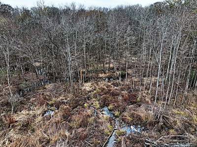 114.62+- Acres / *IRRIGATED *INCOME PRODUCING *LEE COUNTY, GA - image 7