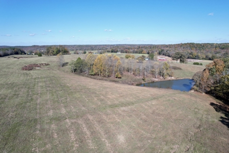 47 Acres of pasture land in Summertown TN - image 4
