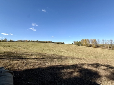47 Acres of pasture land in Summertown TN - image 12