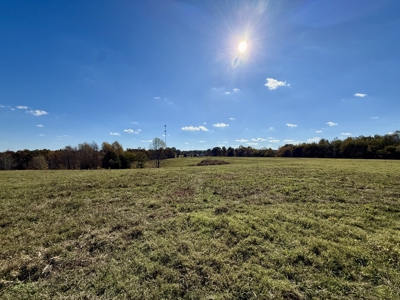 47 Acres of pasture land in Summertown TN - image 15