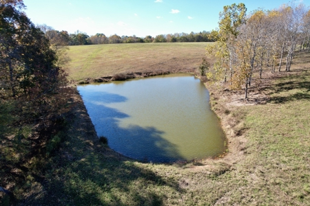 47 Acres of pasture land in Summertown TN - image 3