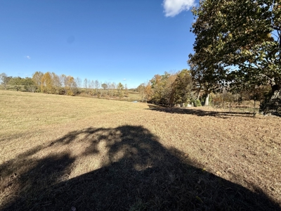 47 Acres of pasture land in Summertown TN - image 11