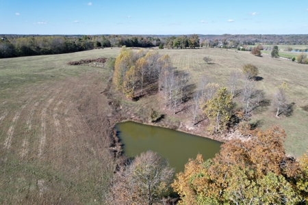 47 Acres of pasture land in Summertown TN - image 2
