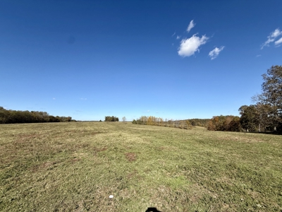 47 Acres of pasture land in Summertown TN - image 10