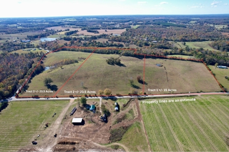 47 Acres of pasture land in Summertown TN - image 16