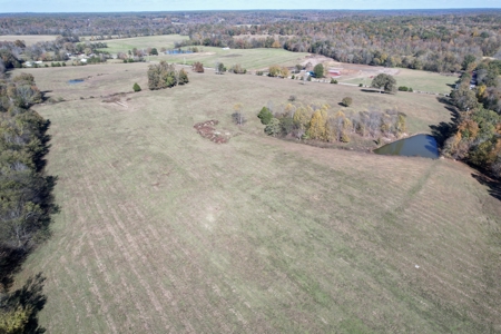 47 Acres of pasture land in Summertown TN - image 5