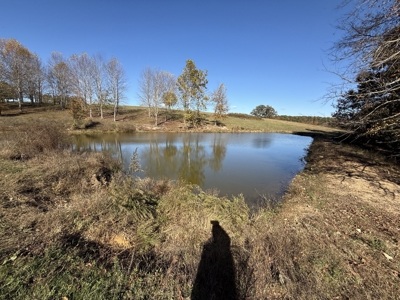 47 Acres of pasture land in Summertown TN - image 13