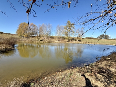 47 Acres of pasture land in Summertown TN - image 14