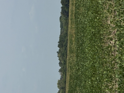 187± Acres for Sale in Lambton County, Ontario, Canada - image 14