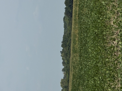 187± Acres for Sale in Lambton County, Ontario, Canada - image 16