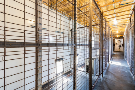 Established Kennel Property Ready for Your Operation - image 18