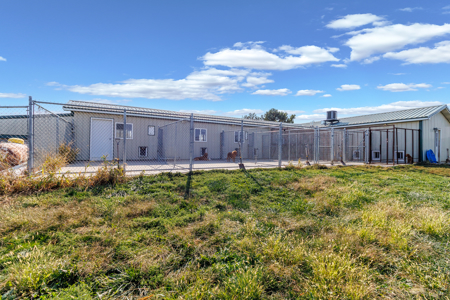 Established Kennel Property Ready for Your Operation - image 27