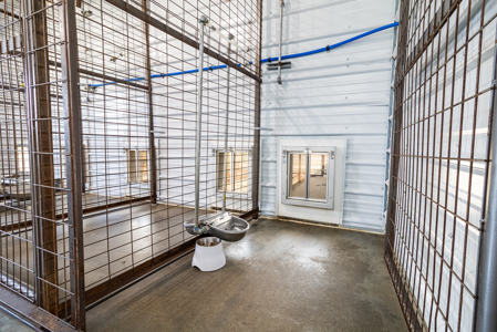 Established Kennel Property Ready for Your Operation - image 13
