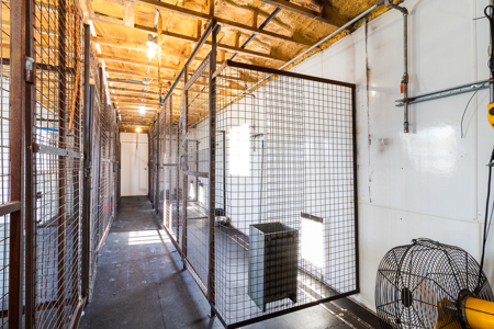Established Kennel Property Ready for Your Operation - image 17