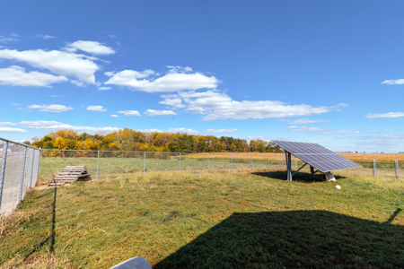 Established Kennel Property Ready for Your Operation - image 25