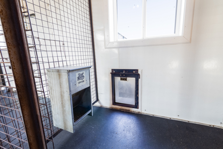 Established Kennel Property Ready for Your Operation - image 19
