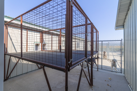 Established Kennel Property Ready for Your Operation - image 23