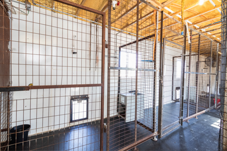 Established Kennel Property Ready for Your Operation - image 16