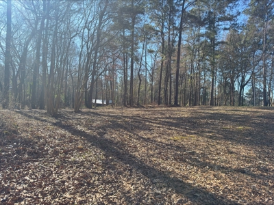 Lake Front Lot in Lone Star Texas with Western Sky Views - image 6