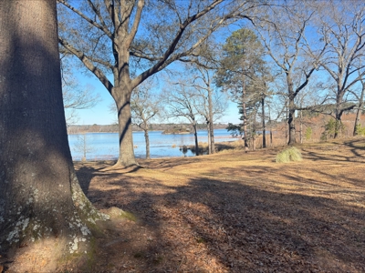 Lake Front Lot in Lone Star Texas with Western Sky Views - image 10
