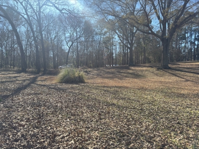 Lake Front Lot in Lone Star Texas with Western Sky Views - image 17