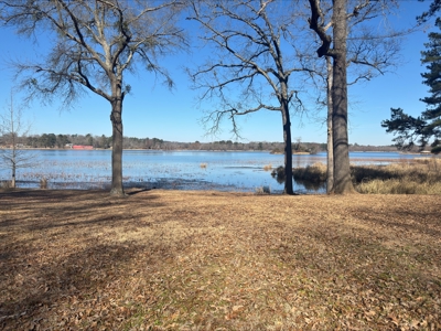 Lake Front Lot in Lone Star Texas with Western Sky Views - image 2