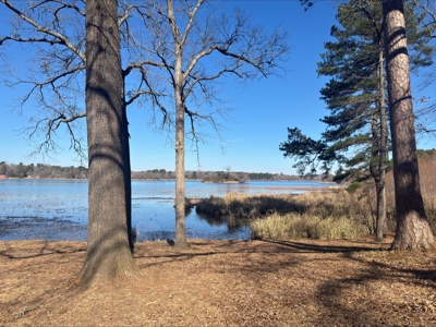 Lake Front Lot in Lone Star Texas with Western Sky Views - image 3