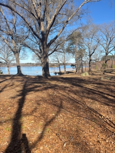 Lake Front Lot in Lone Star Texas with Western Sky Views - image 11