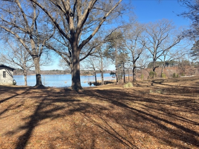 Lake Front Lot in Lone Star Texas with Western Sky Views - image 9