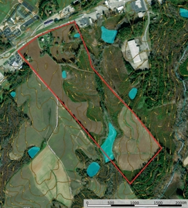 Prime 88-Acre Development Tract in South Hill Growth Hub - image 2