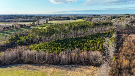 Prime 88-Acre Development Tract in South Hill Growth Hub - image 14