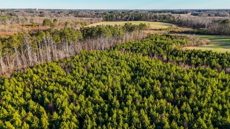 Prime 88-Acre Development Tract in South Hill Growth Hub - image 19