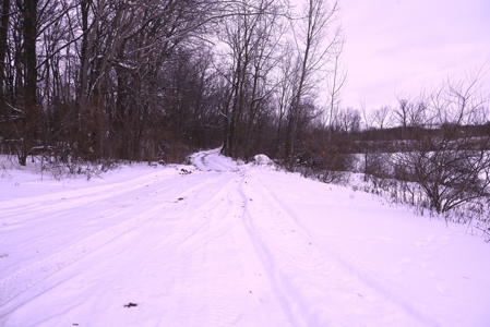 Land for sale in Clinton County Michigan - image 21