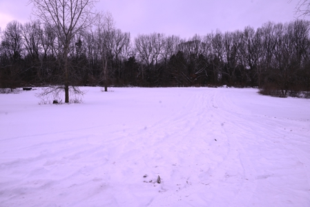 Land for sale in Clinton County Michigan - image 25