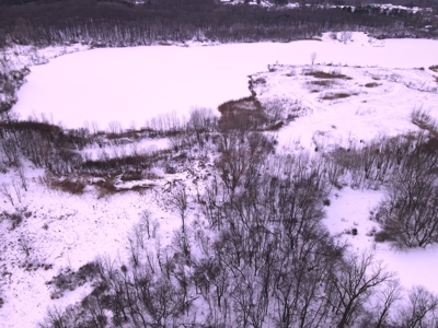 Land for sale in Clinton County Michigan - image 18