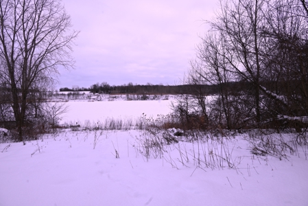 Land for sale in Clinton County Michigan - image 28